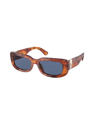 Polo 4191U Sunglasses vente chaude votre 